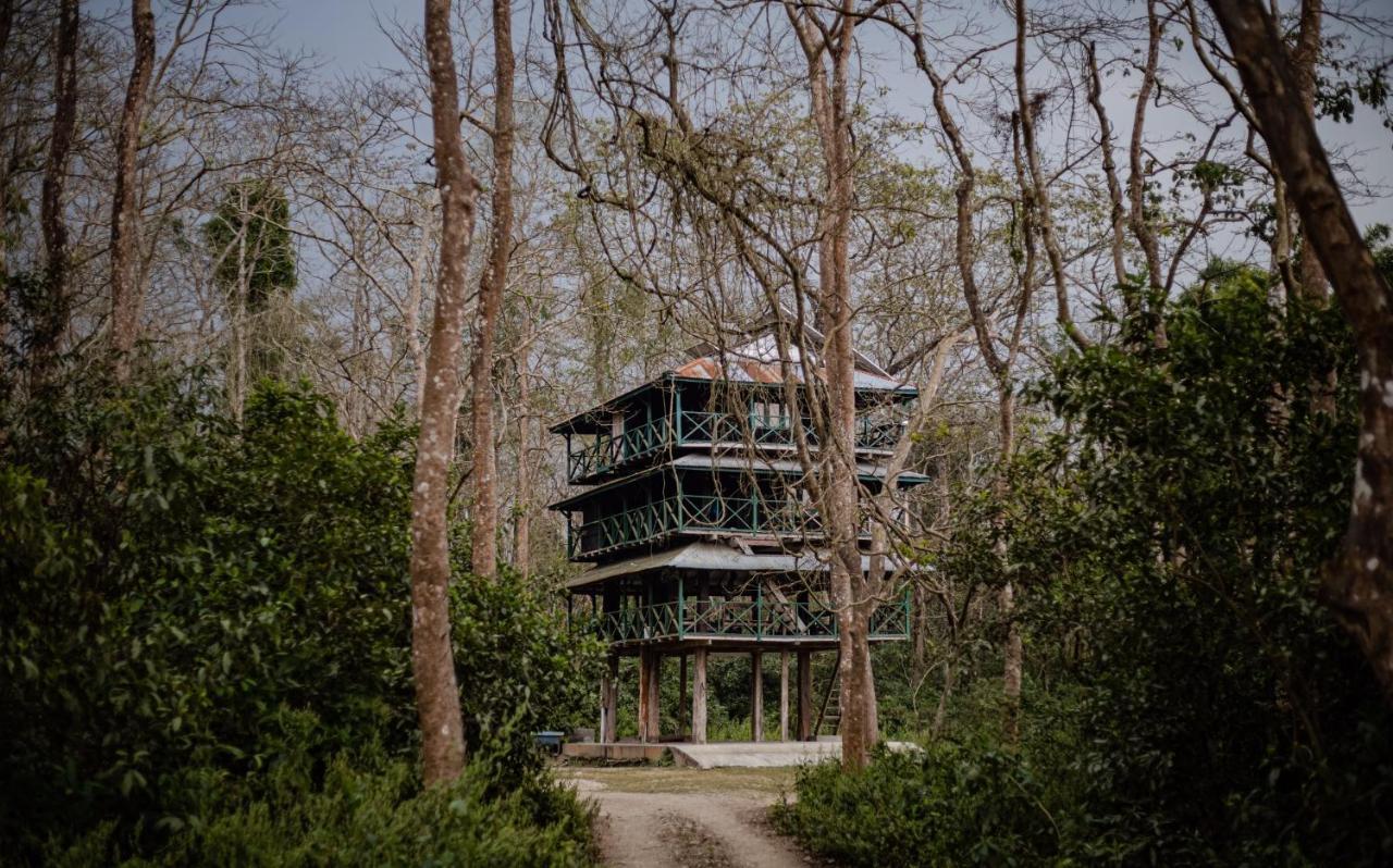 Hotel Tharu Garden Sauraha Exterior foto