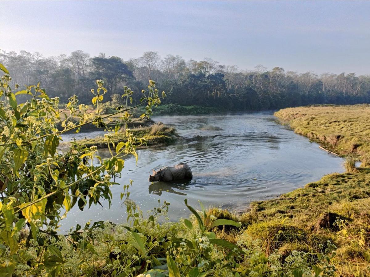 Hotel Tharu Garden Sauraha Exterior foto