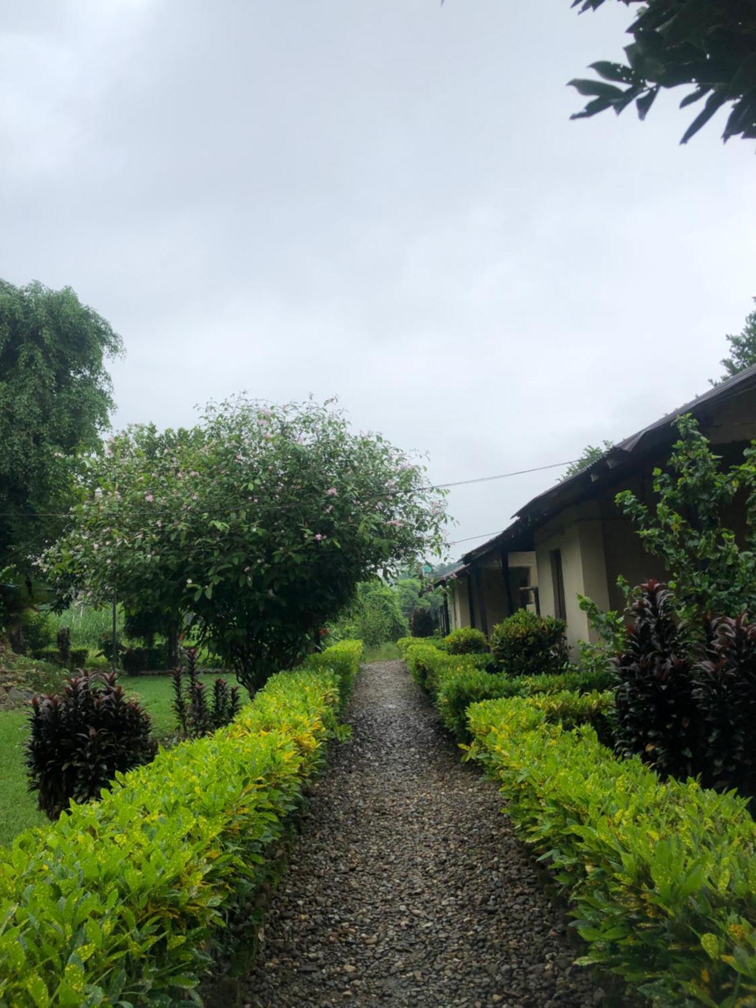 Hotel Tharu Garden Sauraha Exterior foto